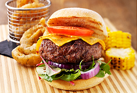DALESMAN<sup>®</sup> BIG TEX BURGER MIX